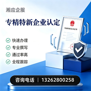 濮阳专精特新企业申报服务
