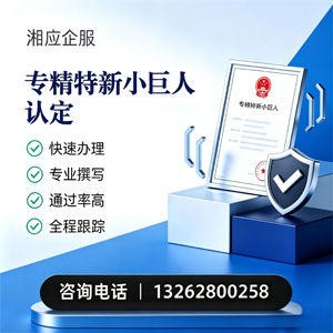 濮阳专精特新小巨人申报服务