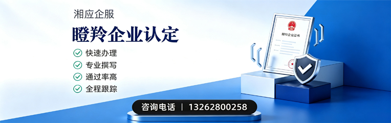 濮阳瞪羚企业认定申报服务