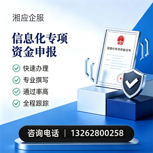 濮阳信息化专项资金申报服务
