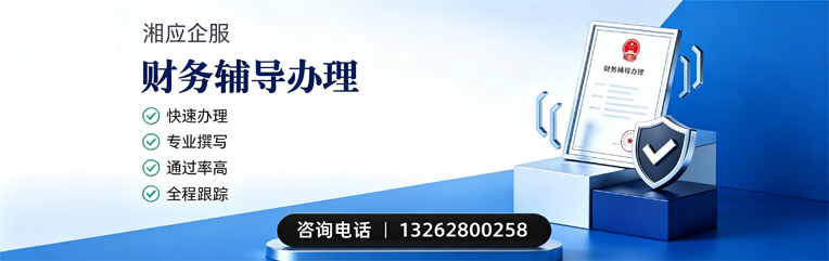 濮阳财务辅导申请服务