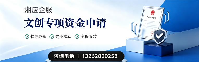 濮阳文创专项资金申报服务