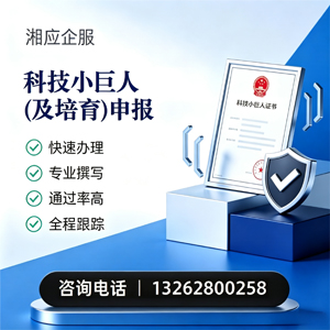 濮阳科技小巨人及培育企业申报服务