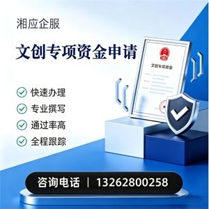 濮阳文创专项资金申报服务