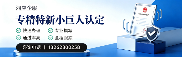 濮阳专精特新小巨人申报服务